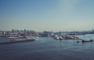 专业版功能的网站攻击工具